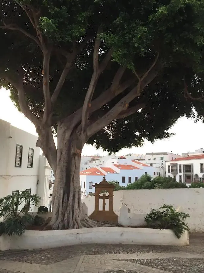 Casa Rustica San Francisco 3 Apartment Telde 0*,